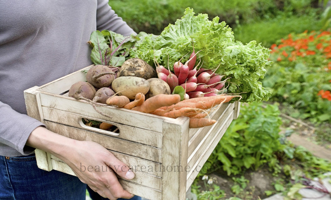 fruits and vegetables